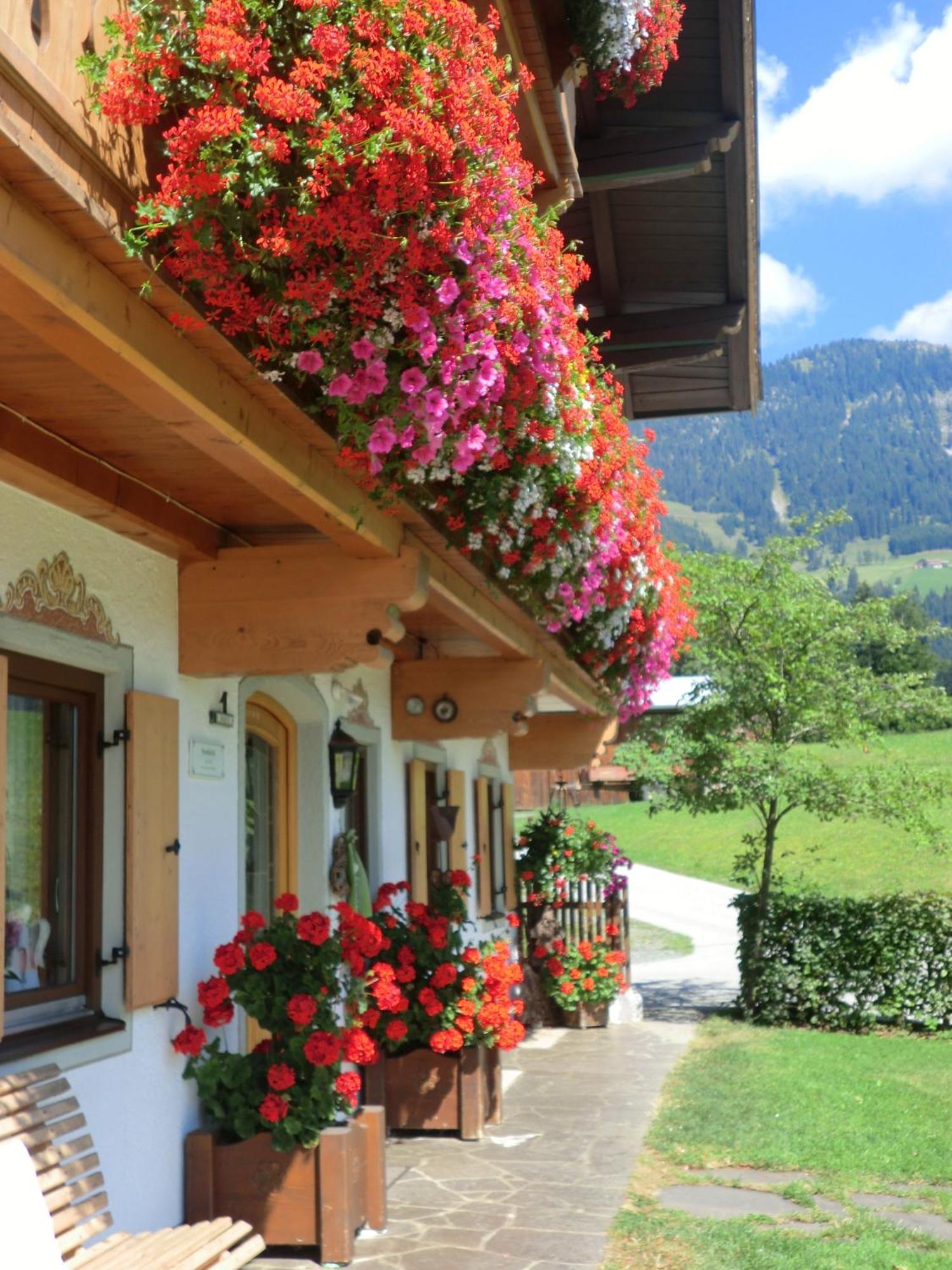 Appartement Vornbichlhof à Fieberbrunn Extérieur photo